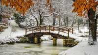 Wooden Bridge Over Snowy Stream in Winter Wonderland