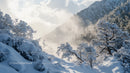 Snowy Mountain Forest with Misty Morning Light