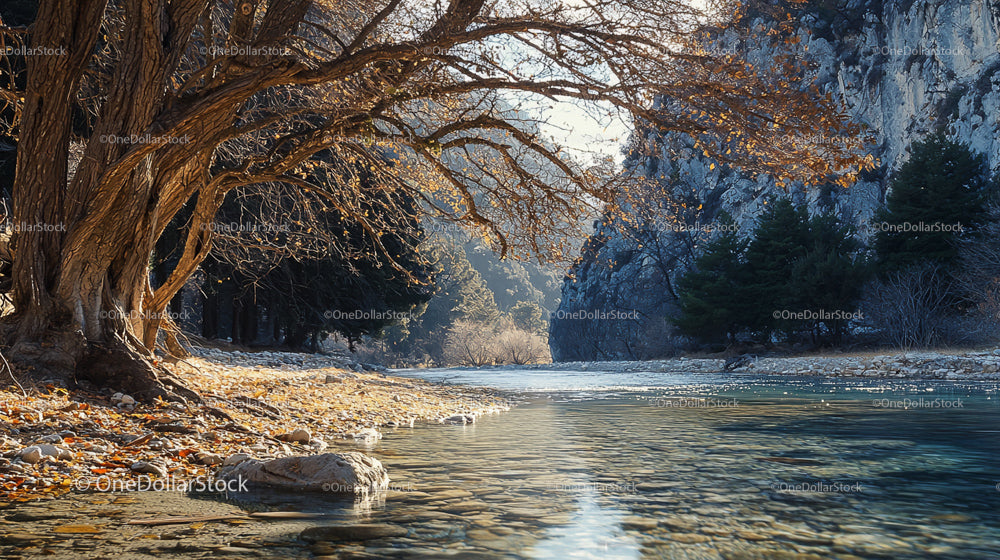 Tranquil River Flowing Through Rocky Forest Landscape