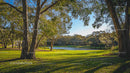 Sunlit Park with Grassy Field and Serene Lake View