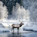 Majestic Deer Standing in a Snowy Winter River