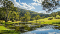 Tranquil Lake Amidst Verdant Forest and Rolling Hills