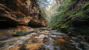 Moss-Covered Canyon with Sandstone Cliffs and Lush Vegetation