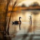 Duck Gliding on Tranquil Lake with Golden Reflections