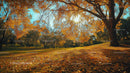 Golden Autumn Landscape with Sunlit Trees in a Tranquil Park