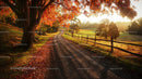 Autumn Road with Vibrant Foliage and Morning Sunlight