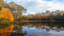 Autumn Colors Reflecting on a Tranquil Lake