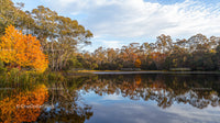 Autumn Colors Reflecting on a Tranquil Lake