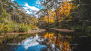 Tranquil Lake with Vibrant Autumn Foliage Reflection