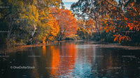 Tranquil River with Vibrant Autumn Foliage and Reflections