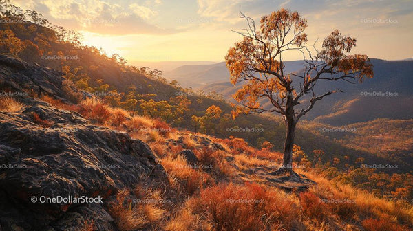 Golden Sunset Over Rocky Hills with Lone Tree