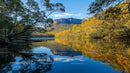 Golden Autumn Trees Reflecting in Serene Mountain Lake