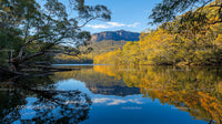 Golden Autumn Trees Reflecting in Serene Mountain Lake