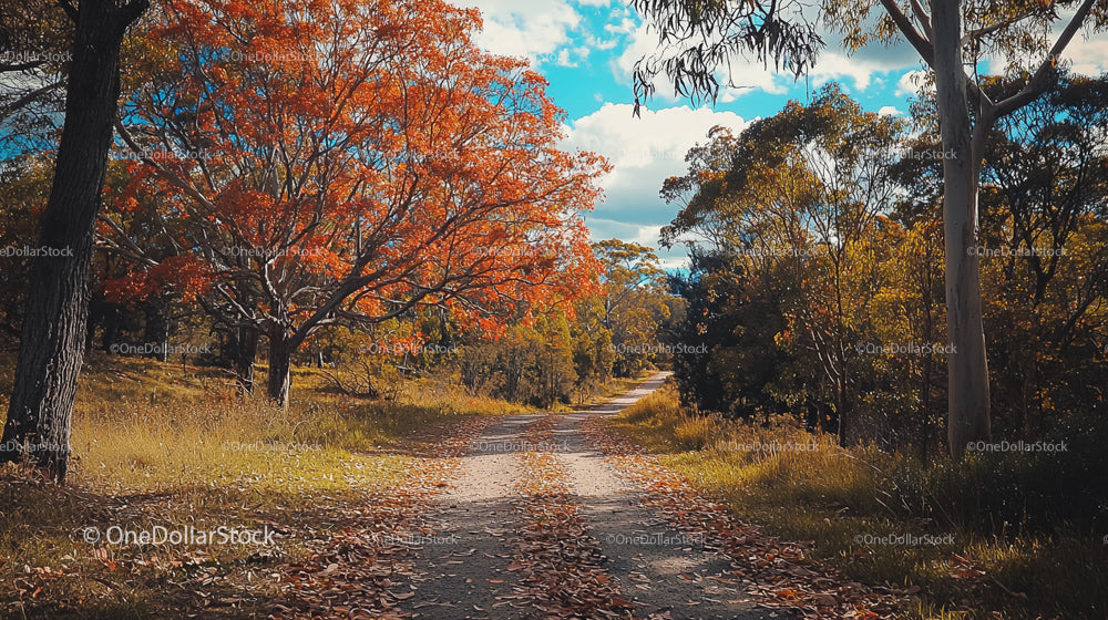 Idyllic Autumn Path with Vibrant Orange Foliage
