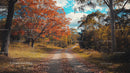 Idyllic Autumn Path with Vibrant Orange Foliage