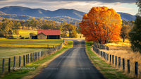 Rural Road with Vibrant Autumn Tree and Scenic Mountain View