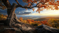 Majestic Tree Overlooking an Autumnal Landscape at Sunset