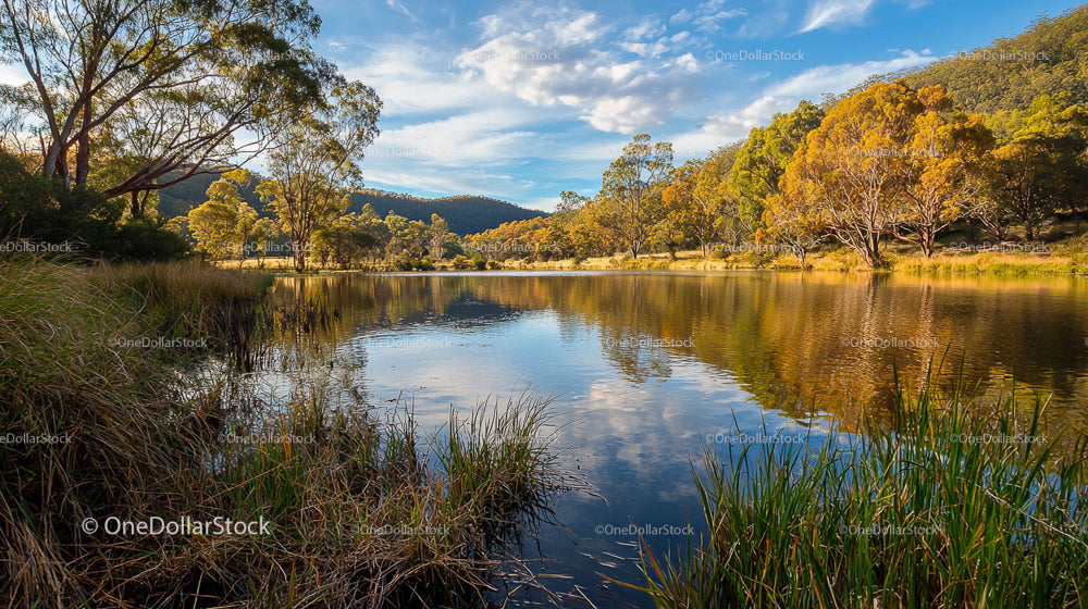 Tranquil Autumn Lakeside with Reflective Waters