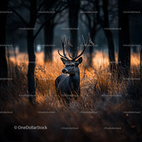 Majestic Deer in Twilight Forest