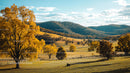Serene Autumn Landscape with Golden Trees and Rolling Hills