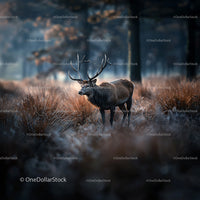 Majestic Stag Standing in Quiet Autumn Forest