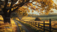 Picturesque Country Road Lined with Autumn Trees at Sunset