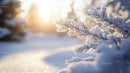 Frosty Morning with Snow-Covered Evergreen Branches