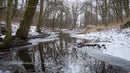 Snowy River and Leafless Trees in Winter Landscape