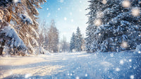 Snow-Covered Forest Path Under a Bright Blue Winter Sky