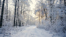 Tranquil Snowy Path Through a Winter Forest Landscape