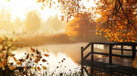 Scenic Autumn Lake with Golden Foliage and Wooden Dock