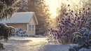 Cozy Cabin with Purple Flowers in a Winter Wonderland