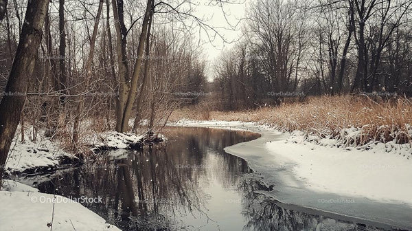 Serene Snowy River Flowing Through Winter Forest
