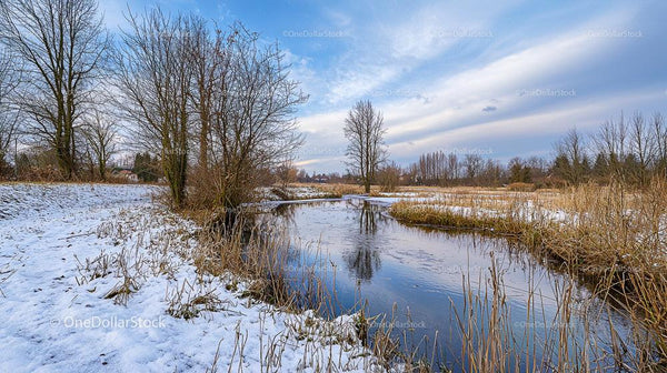 Serene Winter Landscape with Snow and Reflective Stream