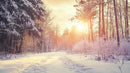 Tranquil Snowy Forest Path at Sunrise
