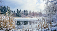 Serene Winter Landscape with Snow-Covered Trees and Frozen Lake