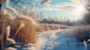 Serene Winter Landscape with Snow-Covered Path and Golden Reeds