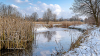 Peaceful Winter River with Snowy Banks and Tall Reeds