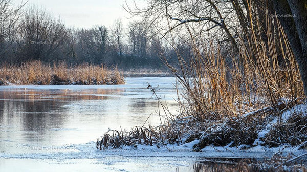 Tranquil Winter Scene with Frozen River and Snowy Banks