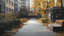 Peaceful Urban Park Path with Autumn Foliage
