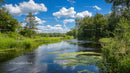 Scenic River Flowing Amidst Lush Greenery under Blue Sky