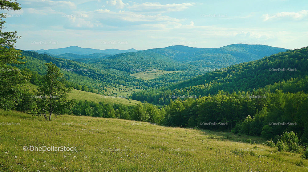 Panoramiczny widok na zielone wzgórza i doliny pod błękitnym niebem