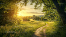 Sunset Over a Serene Countryside Pathway