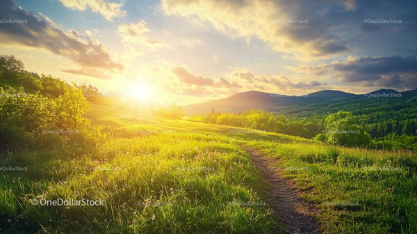 Sunlit Pathway Through Serene Rolling Hills at Sunset