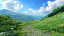 Idyllic Mountain Path Through Wildflower Meadow