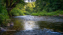 Tranquil River Flowing Through Lush Green Forest