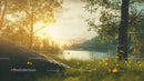 Sunlit Meadow and Tranquil Lake in Serene Forest Landscape