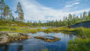 Serene Forest Lake with Tranquil Waters and Pine Trees