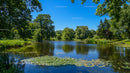 Serene Pond with Lush Greenery and Clear Blue Sky