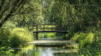 Wooden Bridge Over Tranquil Stream in Lush Forest Landscape